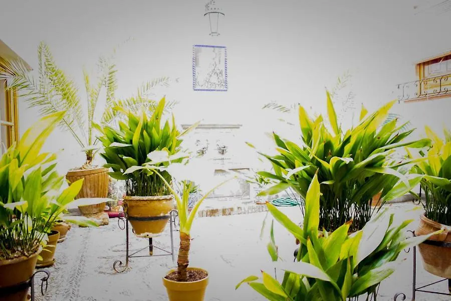 Residencia Jardines Daire Granada 0*,